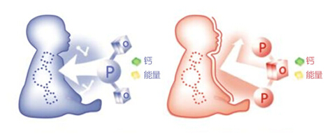 成功萃取全脂牛奶中親和乳脂營養(yǎng)，對嬰兒到底影響有多大？