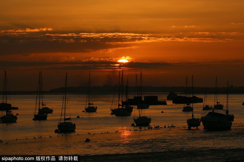 英國泰晤士河日出美景 迎來九月第一縷曙光