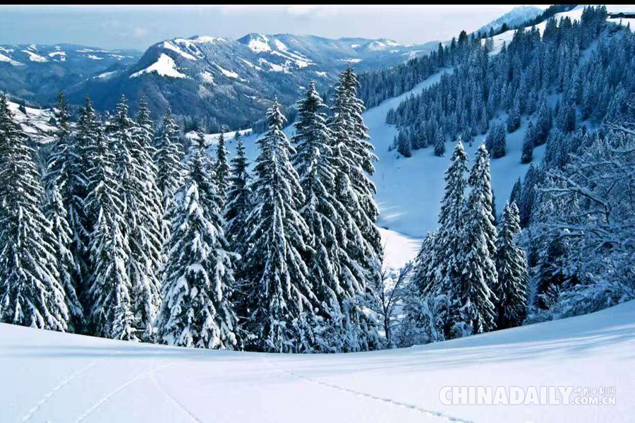 山西寧武蘆芽山景區(qū)黃金周迎大雪 系今年首場