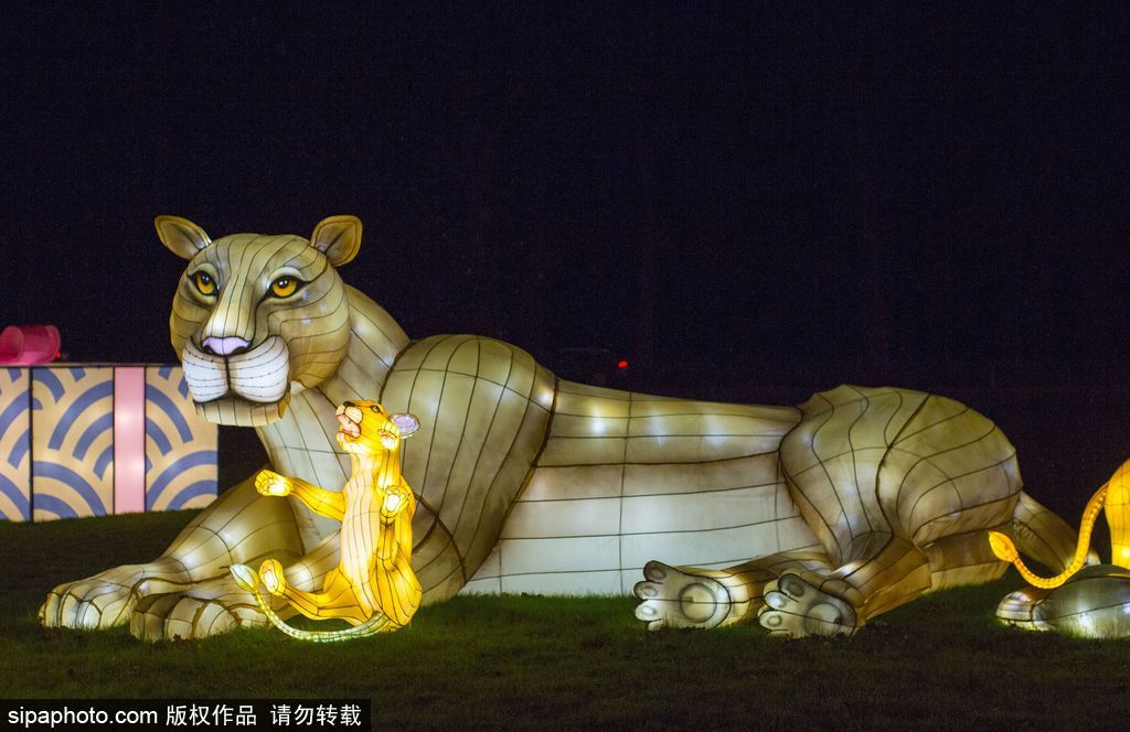 英國超大規(guī)模中國巨型燈籠會 豐富動物造型燈飾亮相