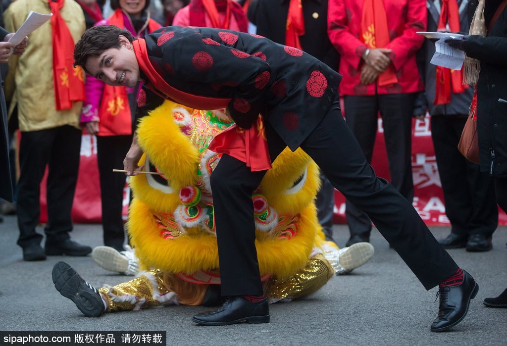 加拿大總理特魯多身著唐裝參加春節(jié)游行 撫摸舞獅頭激萌十足