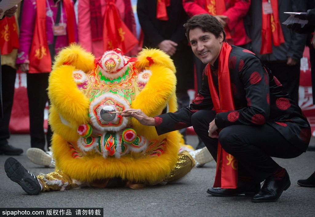 加拿大總理特魯多身著唐裝參加春節(jié)游行 撫摸舞獅頭激萌十足