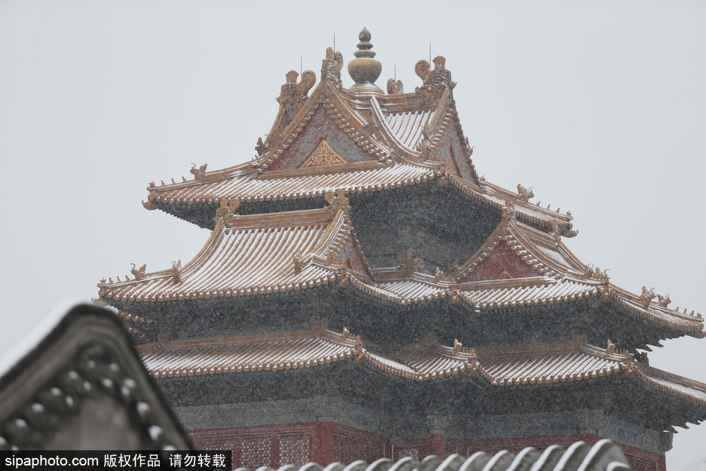 北京“鵝毛大雪”如約而至 故宮雪景美如畫