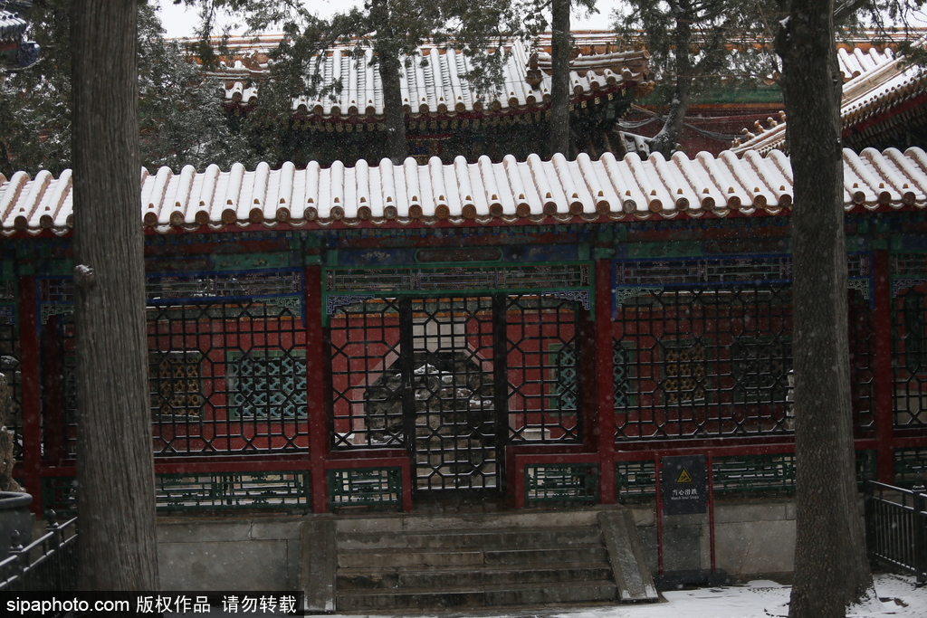 北京“鵝毛大雪”如約而至 故宮雪景美如畫