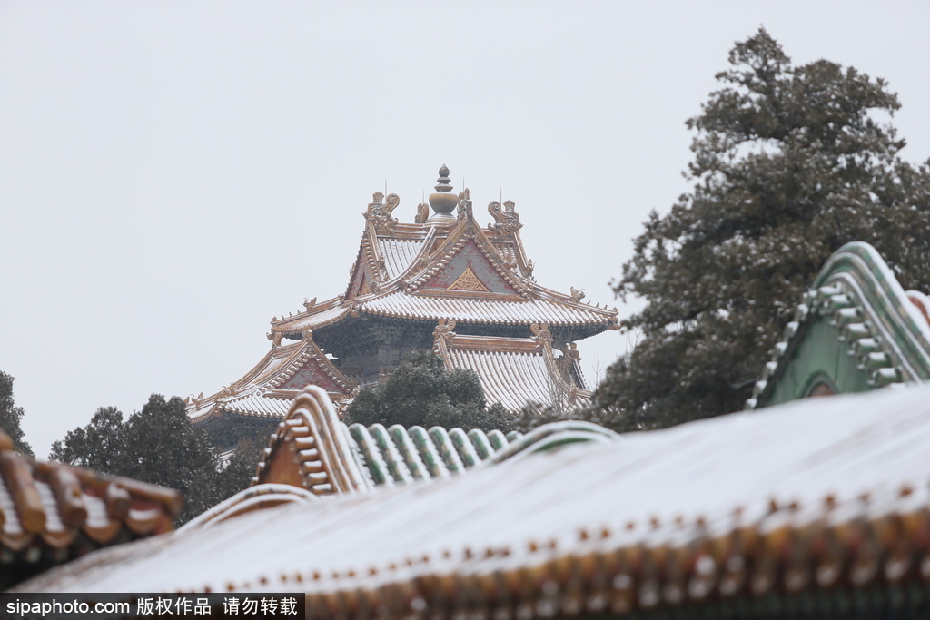 北京“鵝毛大雪”如約而至 故宮雪景美如畫