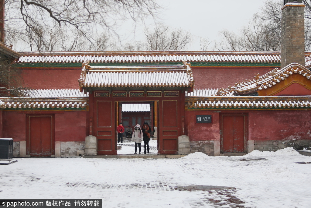 北京“鵝毛大雪”如約而至 故宮雪景美如畫