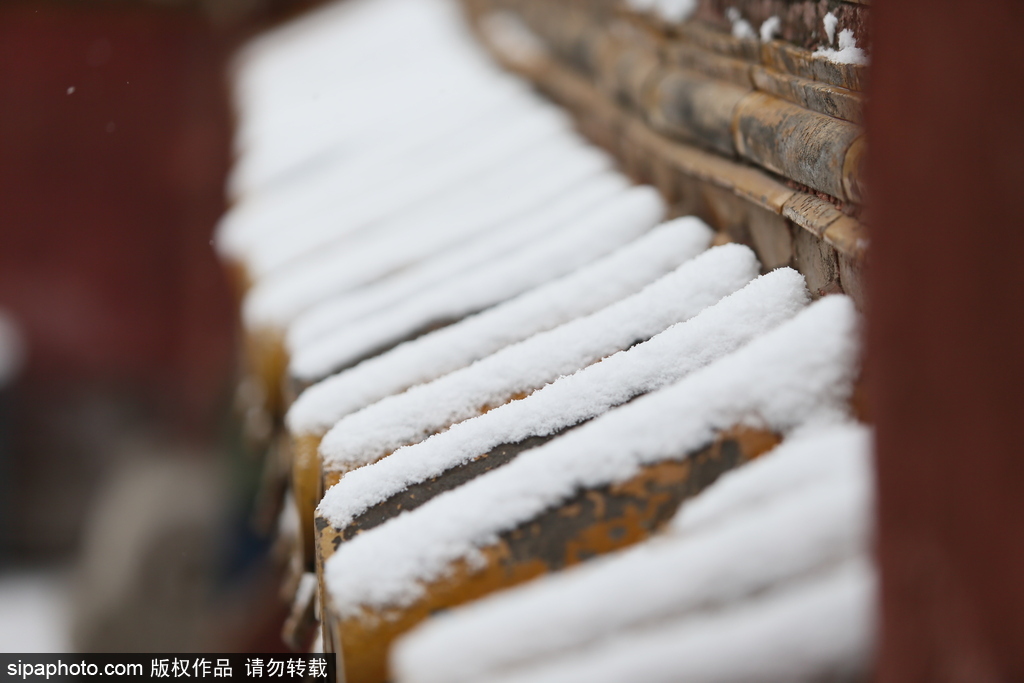 北京“鵝毛大雪”如約而至 故宮雪景美如畫