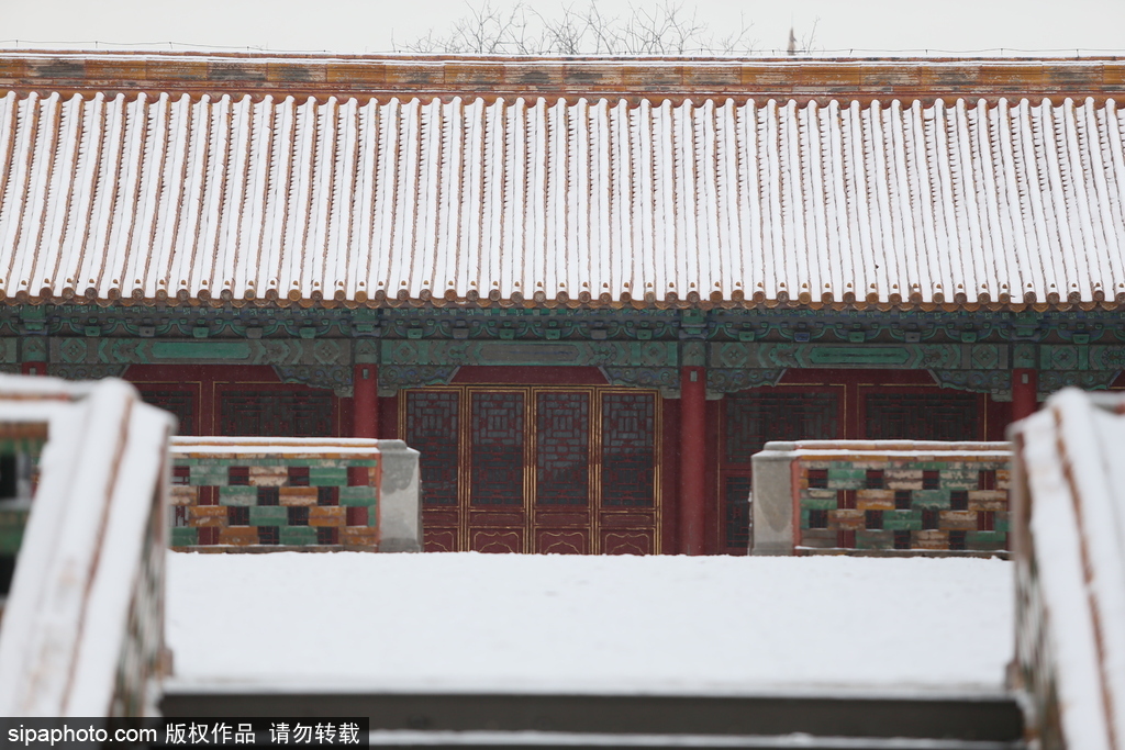 北京“鵝毛大雪”如約而至 故宮雪景美如畫