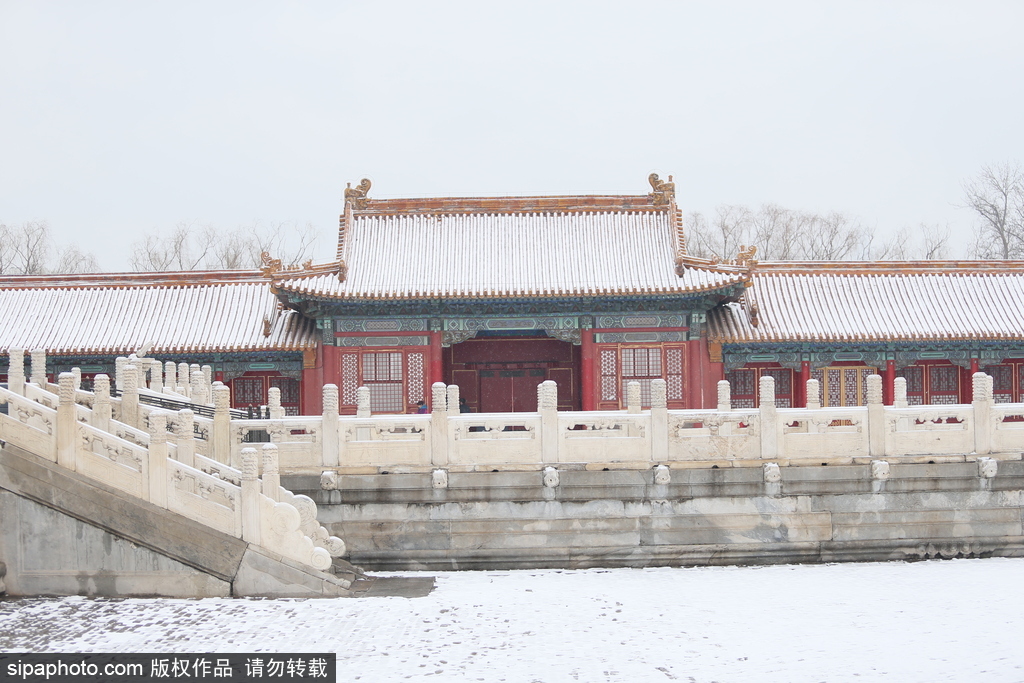 北京“鵝毛大雪”如約而至 故宮雪景美如畫