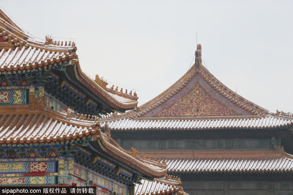 北京“鵝毛大雪”如約而至 故宮雪景美如畫(huà)