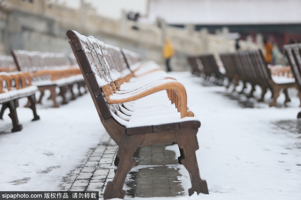 北京“鵝毛大雪”如約而至 故宮雪景美如畫