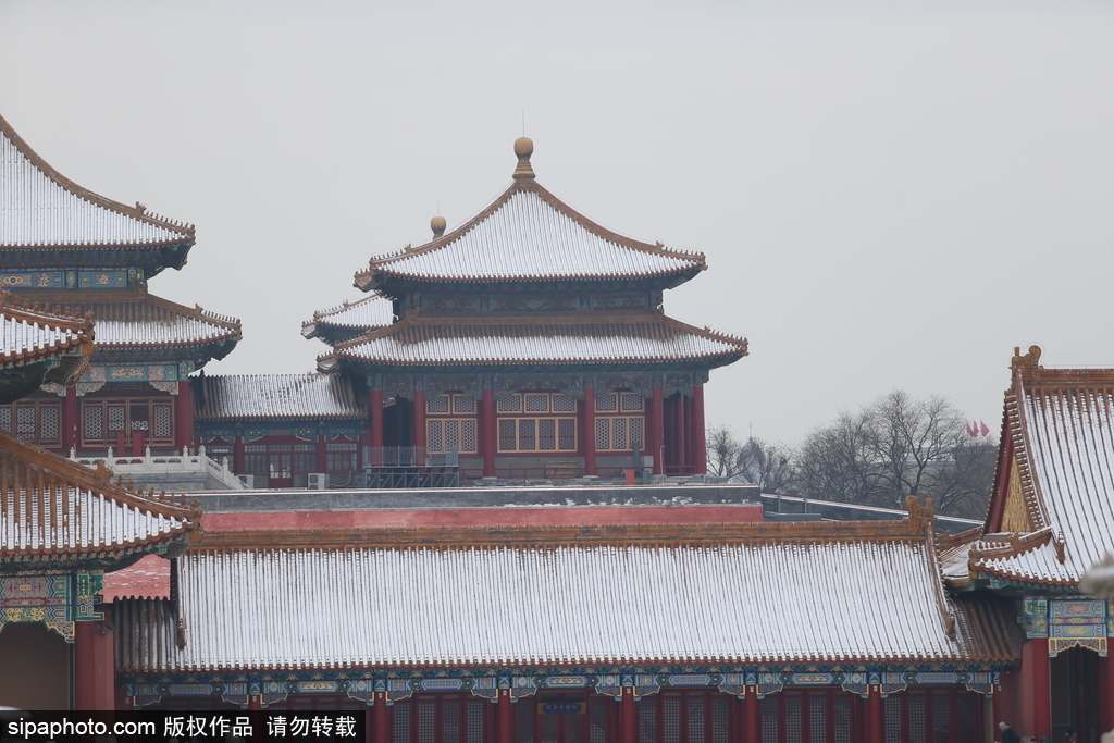 北京“鵝毛大雪”如約而至 故宮雪景美如畫