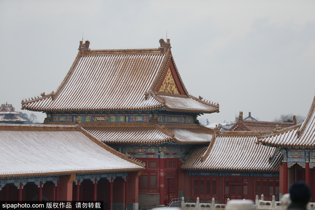 北京“鵝毛大雪”如約而至 故宮雪景美如畫