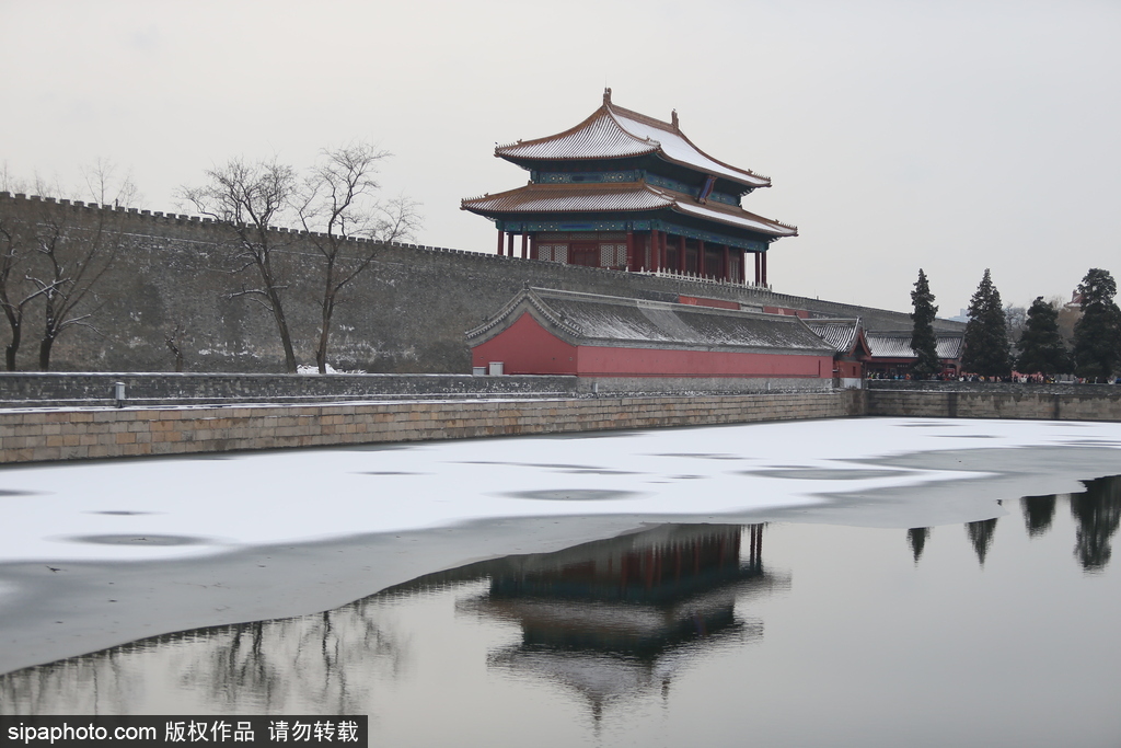 北京“鵝毛大雪”如約而至 故宮雪景美如畫