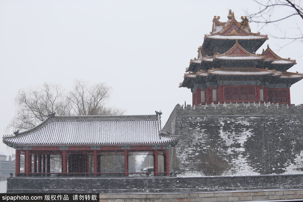 北京“鵝毛大雪”如約而至 故宮雪景美如畫