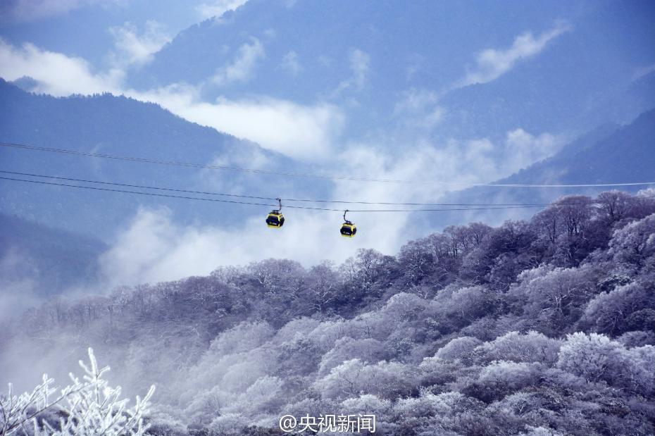 貴州梵凈山現(xiàn)霧凇美景 宛如仙境（組圖）