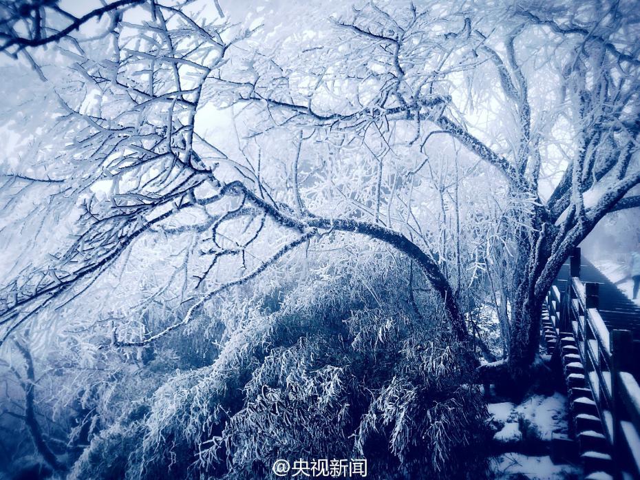 貴州梵凈山現(xiàn)霧凇美景 宛如仙境（組圖）