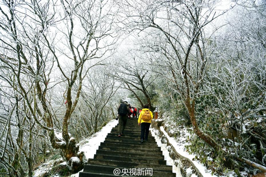 貴州梵凈山現(xiàn)霧凇美景 宛如仙境（組圖）