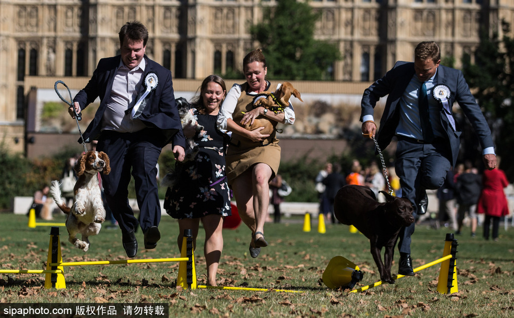 英國人民趣事多 盤點英國腦洞大開的奇葩大賽