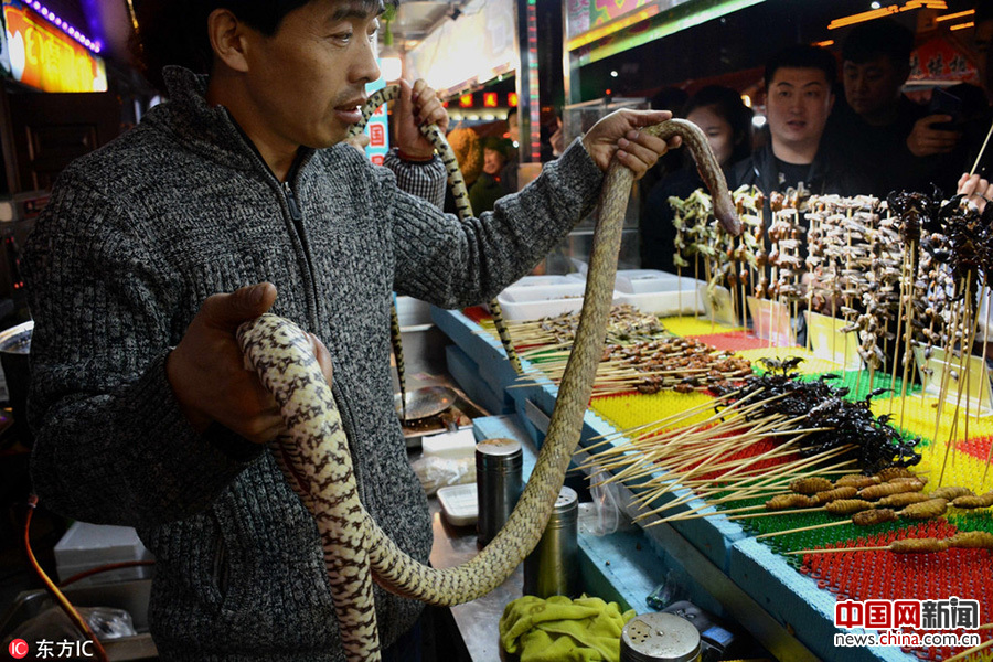 沈陽(yáng)街頭現(xiàn)重口味“昆蟲(chóng)宴”(組圖)