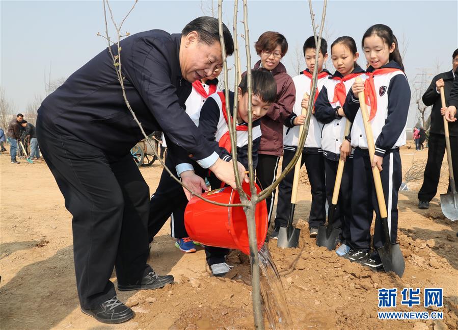 黨和國家領(lǐng)導人參加首都義務(wù)植樹活動