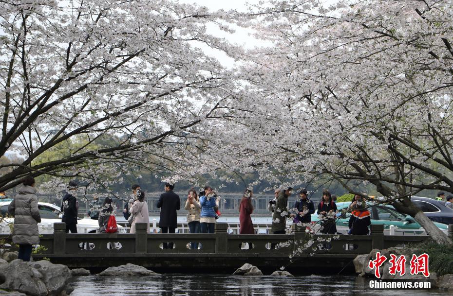 杭州太子灣公園繁花似錦