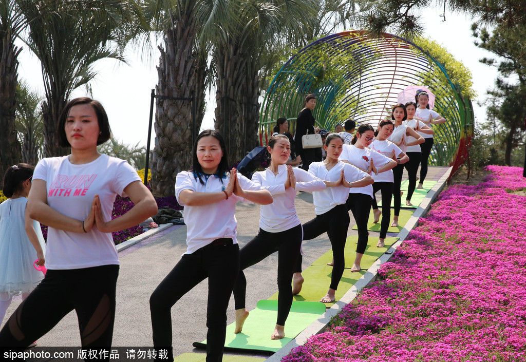 江蘇瑜伽愛(ài)好者花海林間展現(xiàn)運(yùn)動(dòng)之美 愉悅身心成靚麗風(fēng)景