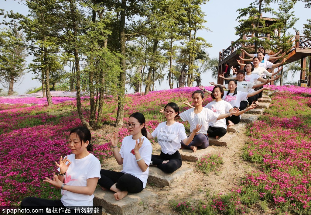 江蘇瑜伽愛(ài)好者花海林間展現(xiàn)運(yùn)動(dòng)之美 愉悅身心成靚麗風(fēng)景