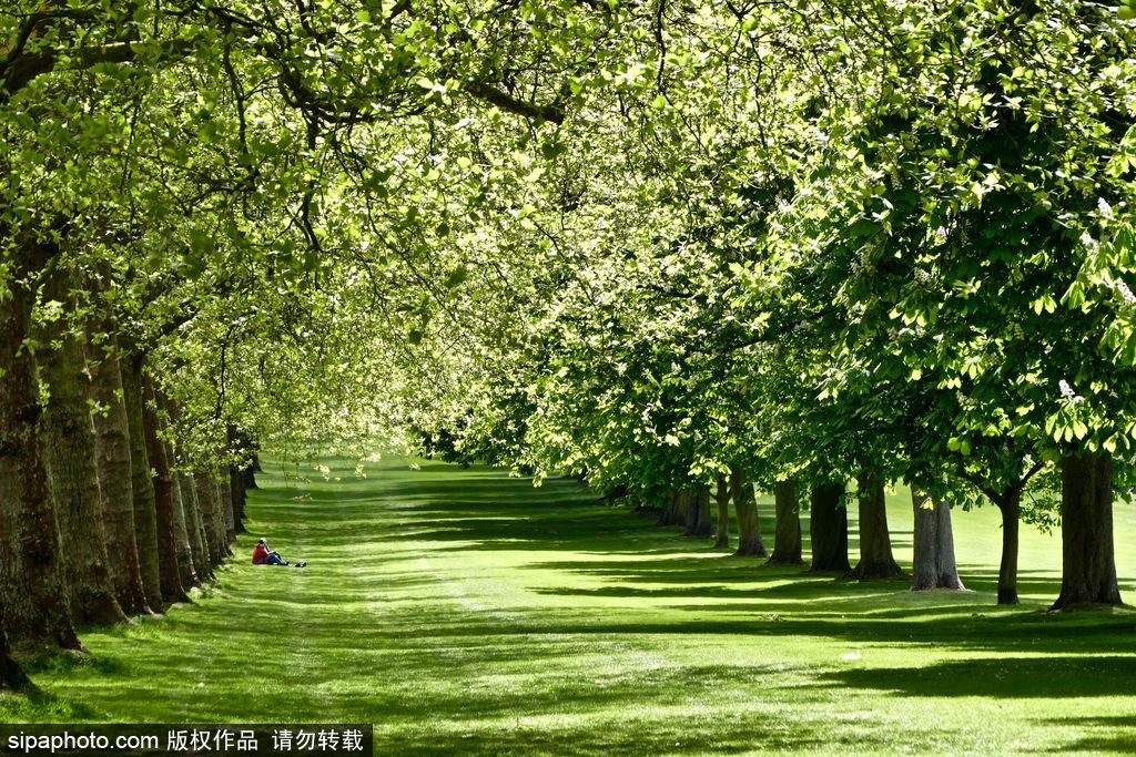 走進(jìn)如畫英倫莊園 感受午后明媚春光