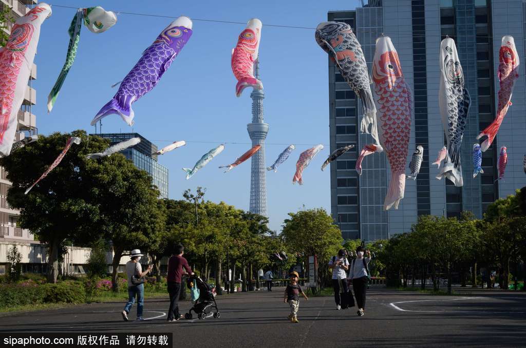 日本東京街頭鯉魚(yú)旗飄揚(yáng) 寄托祝福慶祝男孩節(jié)