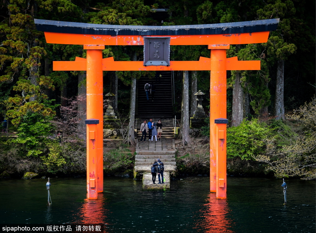 日本富士箱根伊豆國立公園初夏美景