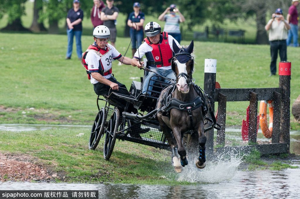 英國霍普頓四輪馬車賽激烈上演 菲利普親王坐車中悠閑觀賽