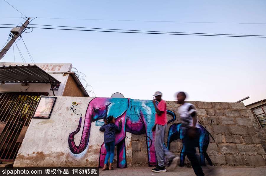 南非街頭大象涂鴉 豐富多彩栩栩如生