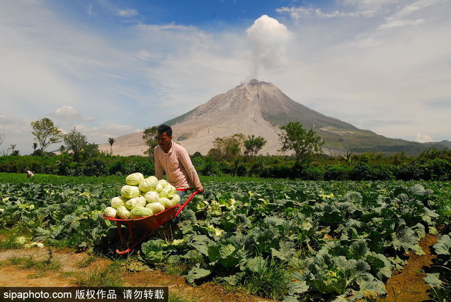 心態(tài)好！錫納朋火山熔巖量持續(xù)增加 居民淡然生活