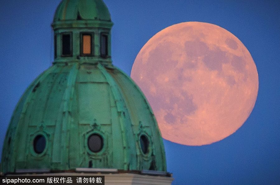 人類月球日 盤點地球視角下的明月當空