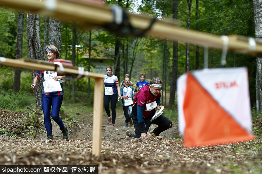 瑞典五日定向越野賽精彩開(kāi)幕 男女老少齊上陣挑戰(zhàn)耐力極限