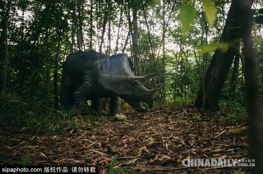 馬來西亞廢棄主題公園 似現(xiàn)實版侏羅紀公園