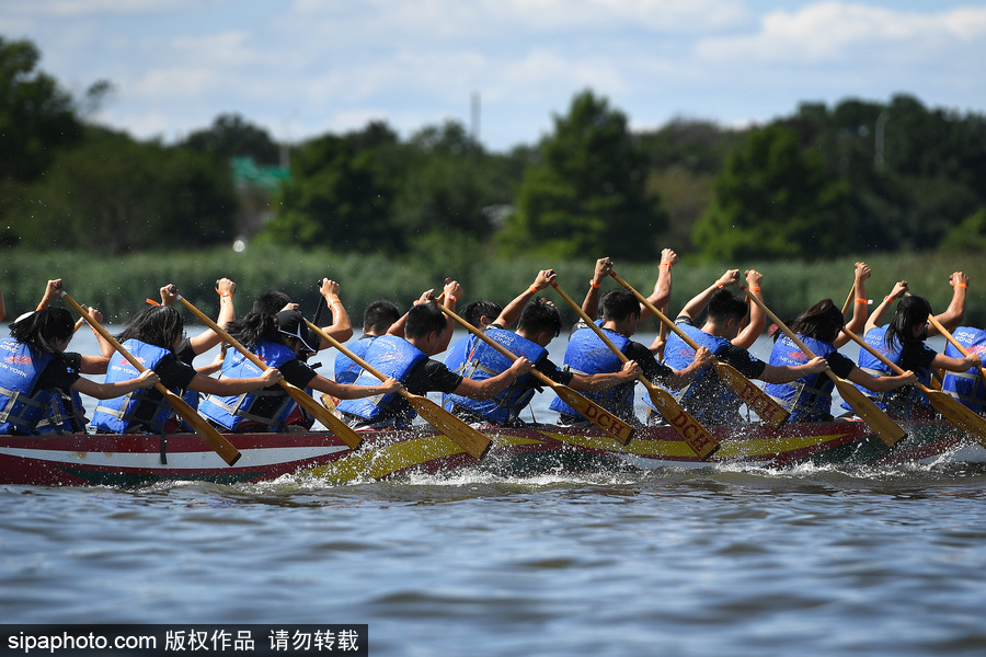 第27屆紐約香港龍舟節(jié)開(kāi)幕 200支隊(duì)伍奮力角逐