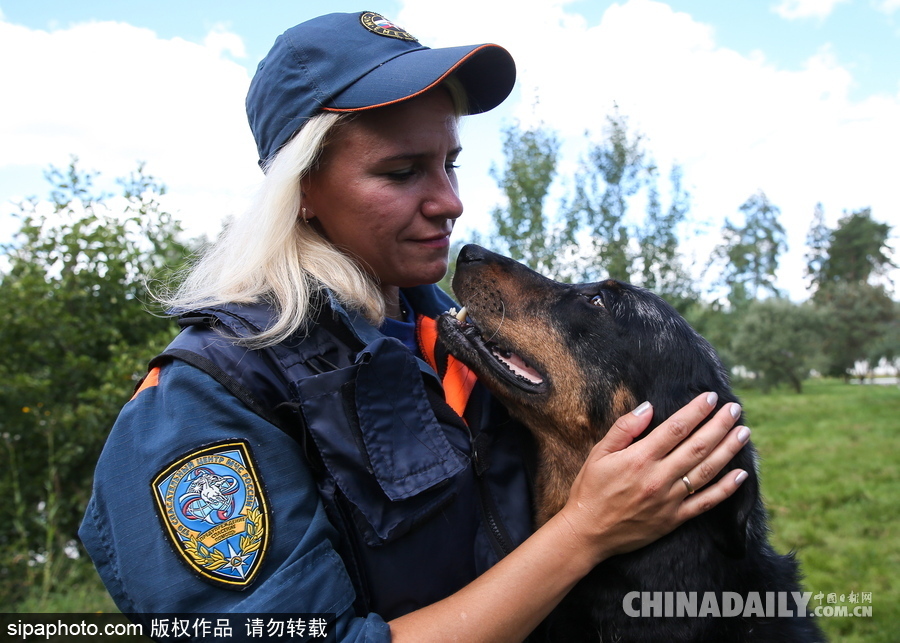 走進(jìn)救援“特種兵”的成長 俄羅斯搜救犬進(jìn)行訓(xùn)練測試