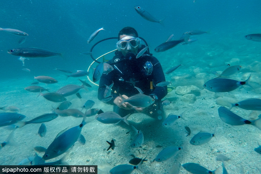 感受地中海水下“神秘世界” 土耳其凱梅爾海邊潛水