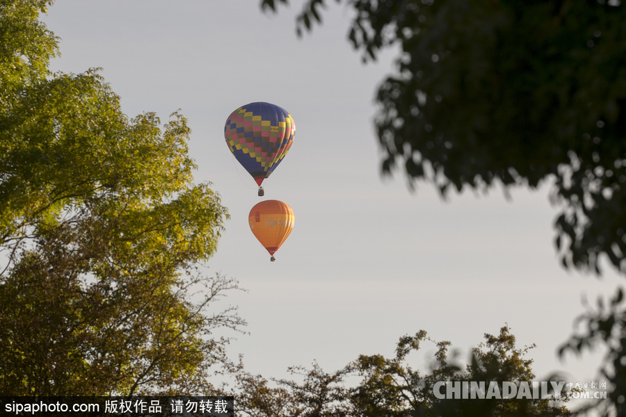 愛(ài)爾蘭舉行熱氣球錦標(biāo)賽 色彩點(diǎn)綴天空?qǐng)鼍袄寺?/></p>

<p align=