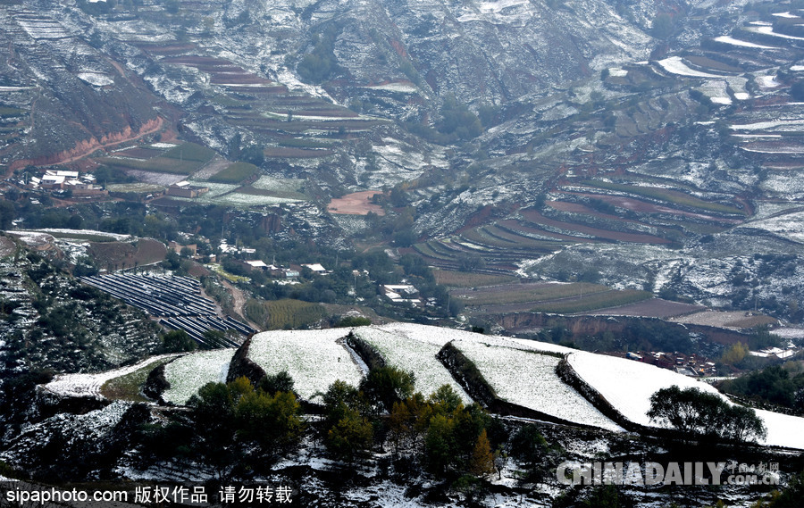 甘肅迎來(lái)雨雪天氣 雪落梯田景致宛如水墨畫(huà)