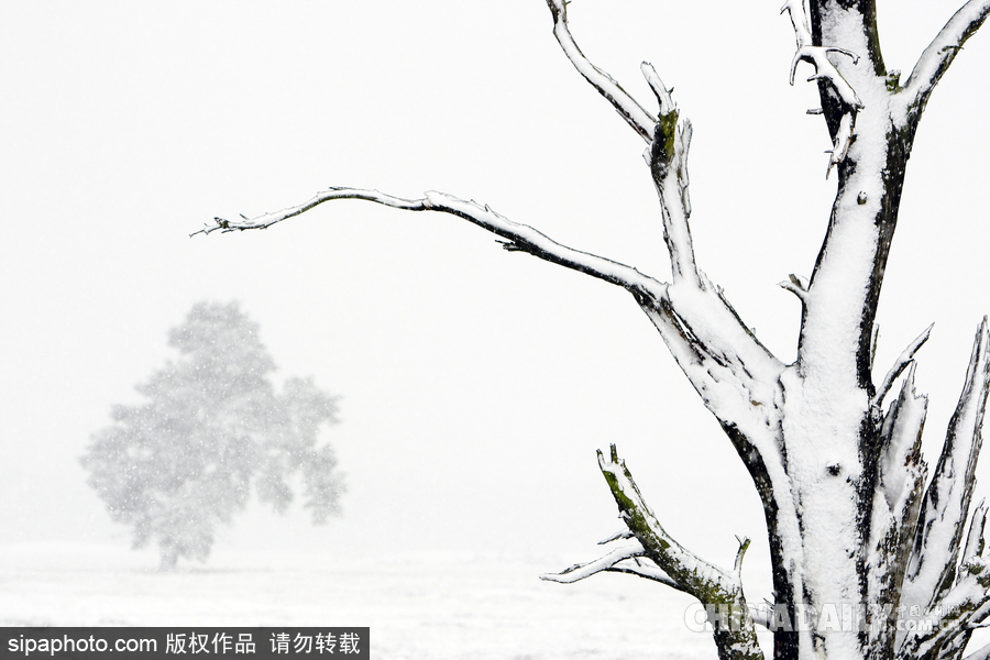 降溫雪韻至 盤點最平凡的冬日美景