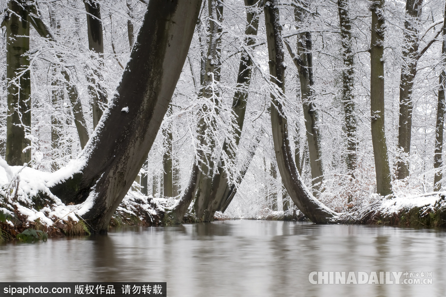 降溫雪韻至 盤點最平凡的冬日美景