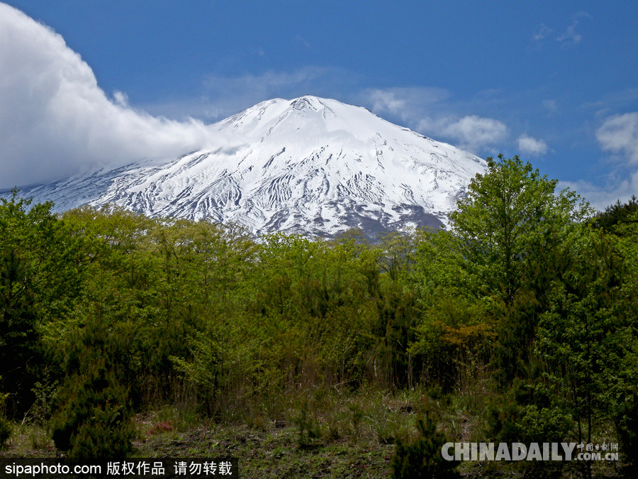 降溫雪韻至 盤點最平凡的冬日美景