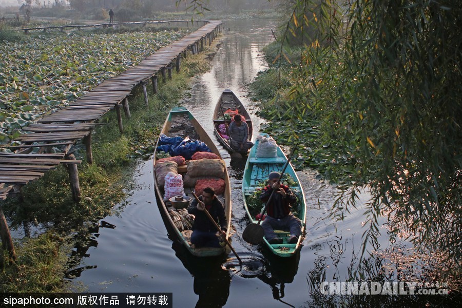 獨(dú)木舟上的生活 走近印度水上蔬菜市場(chǎng)