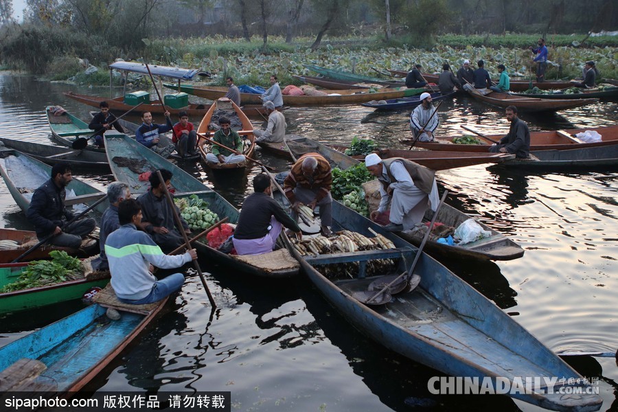 獨(dú)木舟上的生活 走近印度水上蔬菜市場(chǎng)