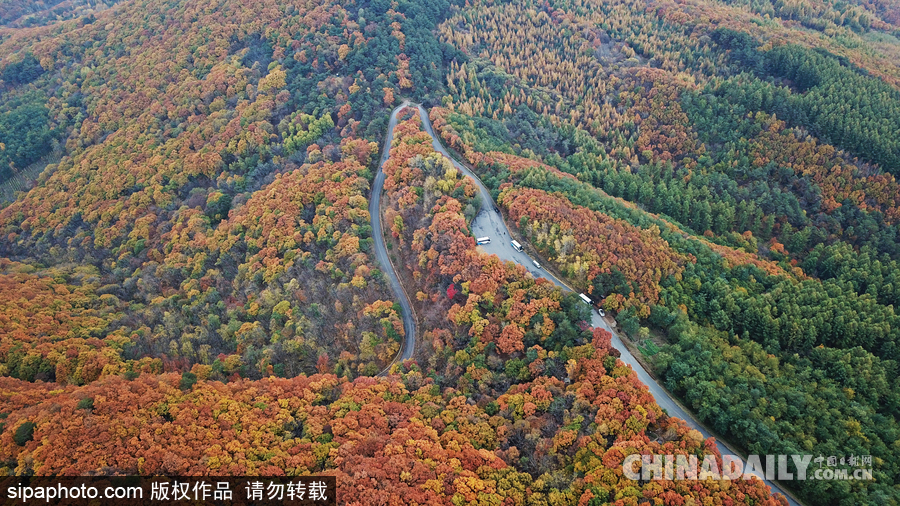 遼寧本溪最美公路 層林盡染令人神往