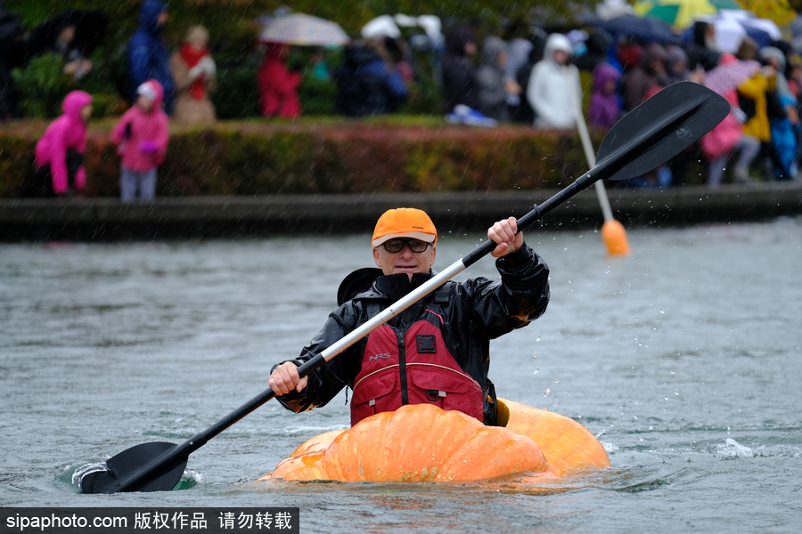 美國(guó)巨型南瓜賽舟會(huì) 選手劃小船趣味十足