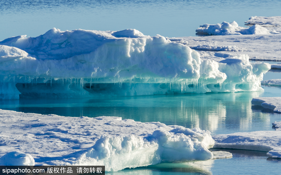 這樣的世界才叫“一塵不染” 北極邊緣的地球凈土